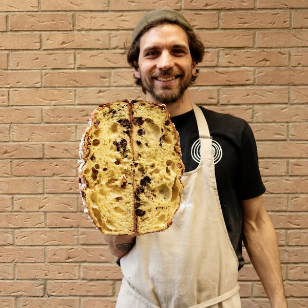 Colomba Artigianale ai 2 Cioccolati 