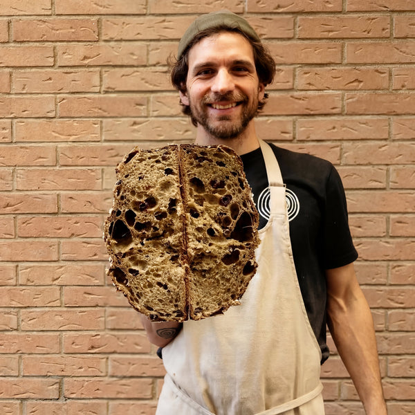 Colomba artigianale del crust