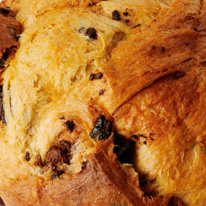 Panettone al cioccolato