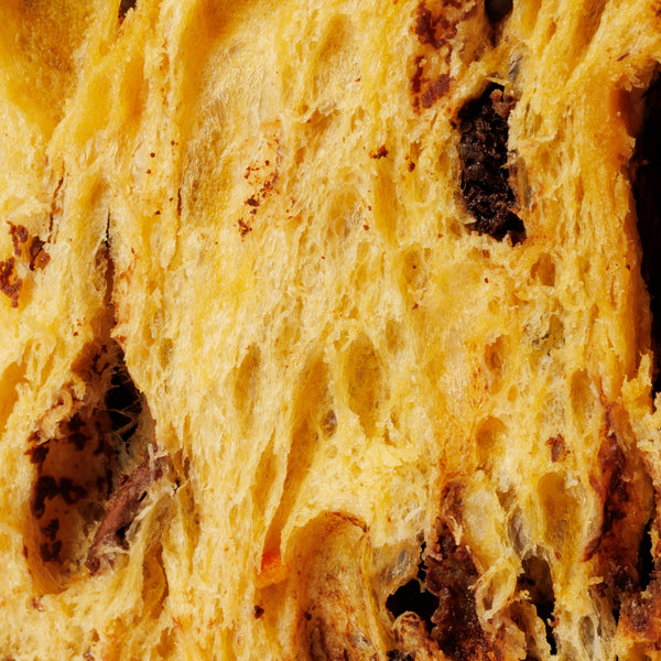 Panettone al cioccolato