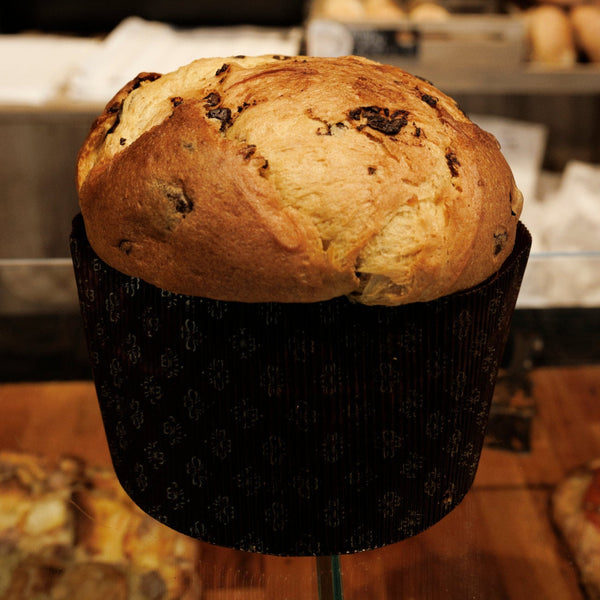 Panettone al cioccolato Forno contemporaneo
