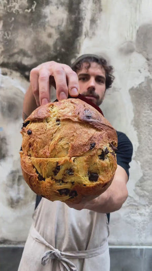 Video panettone al cioccolato